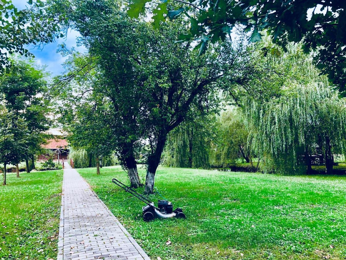 Вілла La Muzeu Bata Екстер'єр фото